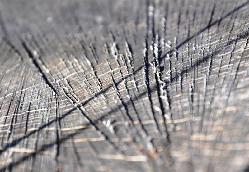 14 Igor Blagonic izvan konk